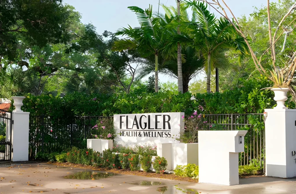 Luxury Drug Rehab - Alt Text