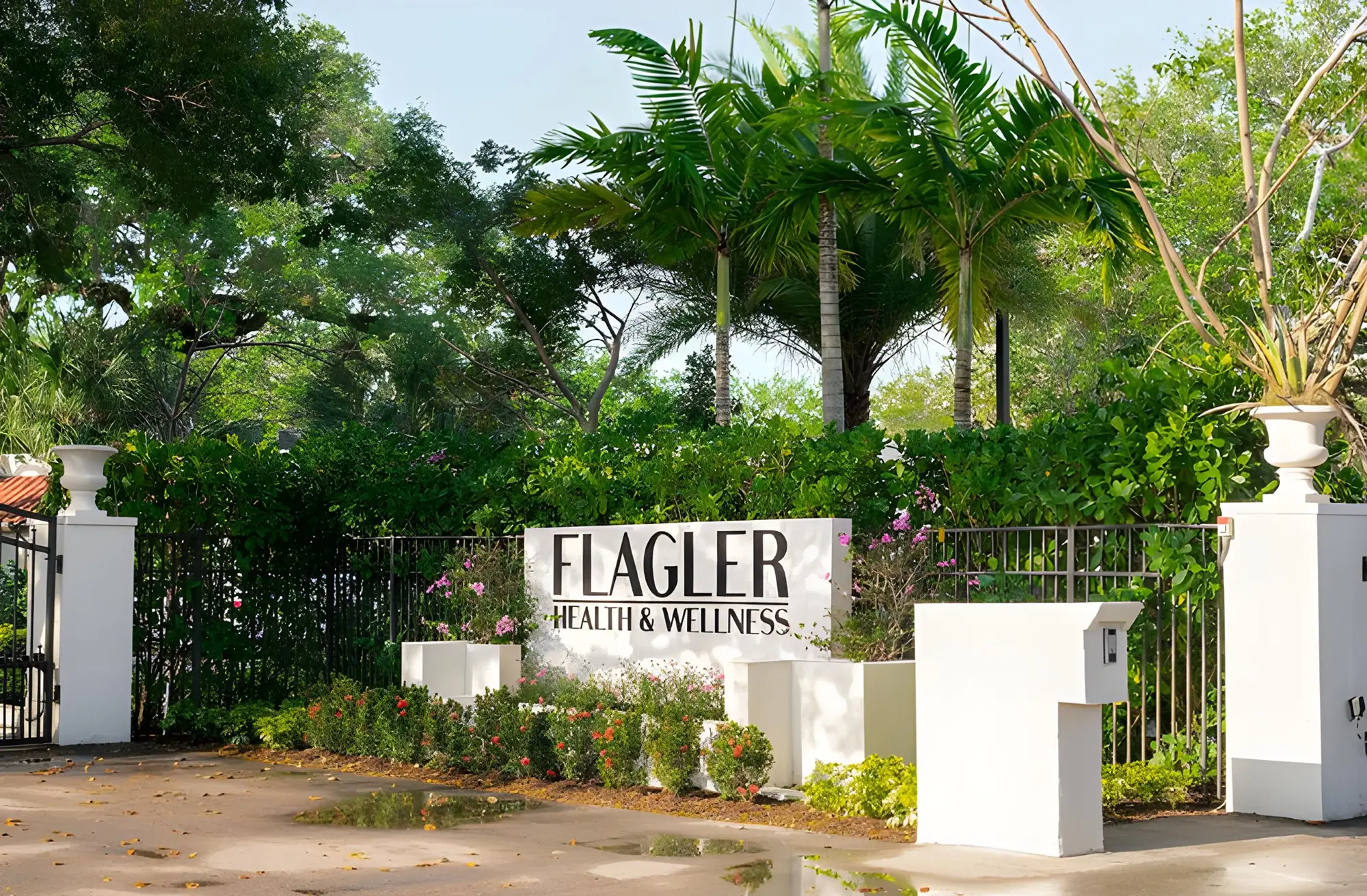 Luxury Drug Rehab - Alt Text